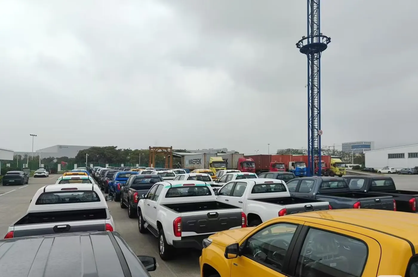 Export vehicles staged in the port yard before loading